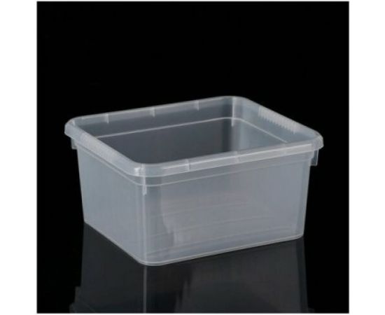 Ящик для хранения FunBox Basic с крышкой 5л 39635 – изображение 2