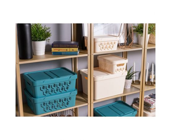 Универсальный ящик Econova Luxe с крышкой, 380х276х220 мм, 18 л светло-серый 433205830 – изображение 8