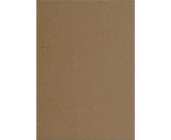 Крафт-бумага для графиков, эскизов, печати BRAUBERG А4 210х297 мм, 80г/м2, 200л, ART CLASSIC 112485 – изображение 8