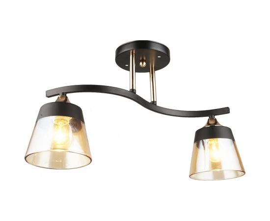 Потолочная люстра ВИНКРУС BK-FGD, E27x2x60W N3772/2 