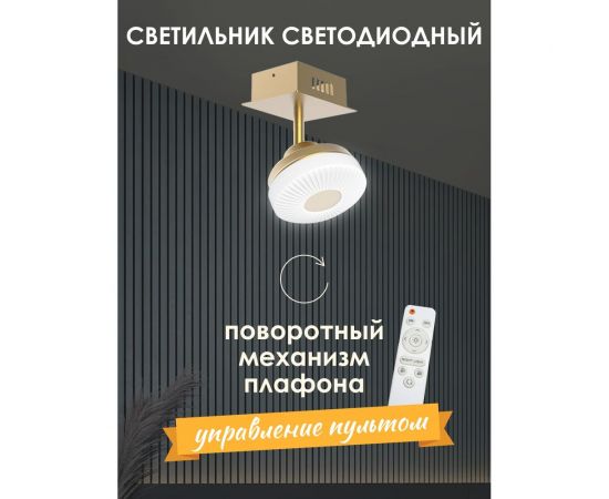 Потолочный светильник Мелодия Света 054-L10-1 GD 000021553 – изображение 2