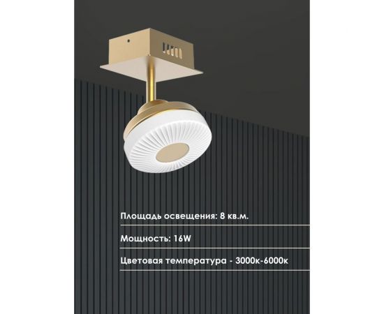 Потолочный светильник Мелодия Света 054-L10-1 GD 000021553 – изображение 3