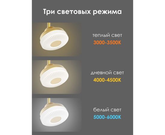 Потолочный светильник Мелодия Света 054-L10-1 GD 000021553 – изображение 5