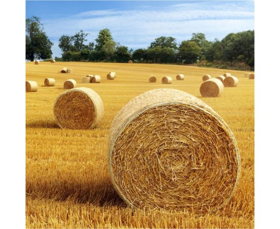 Шпагат AVIORA ПП 1600 текс, бобина 0,5 кг 409-066 – изображение 8