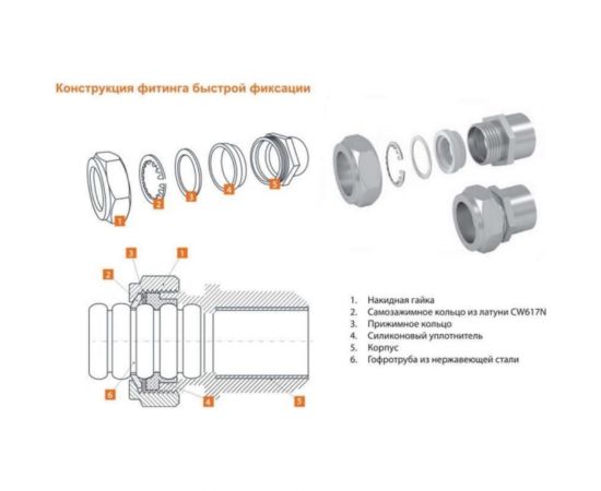 Никелированная муфта TIM 20 - 1/2 вн резьба 771328 – изображение 2