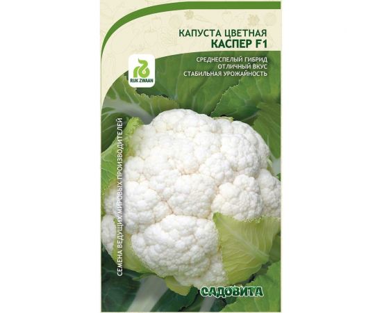 Семена Садовита Капуста цветная Каспер F1 10 шт. Rijk Zwaan 00216422 