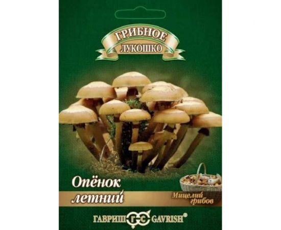 Семена ГАВРИШ Опенок летний на древесной палочке, большой пакет 12 шт. 10007220 