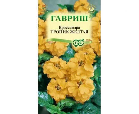 Кроссандра ГАВРИШ Тропик желтая 3 шт. Элитная клумба 10000048 