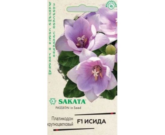 Ширококолокольчик платикодон ГАВРИШ крупноцветковый, Исида F1, 4 шт, Саката серия Эксклюзив 1071858330 