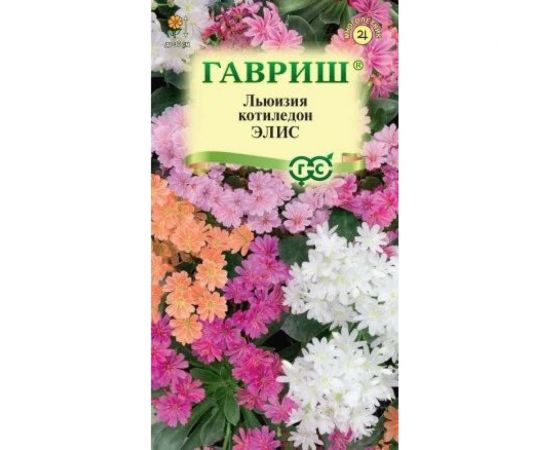 Льюизия котиледон, левизия туполистная ГАВРИШ Элис 5 шт. 1026995630 