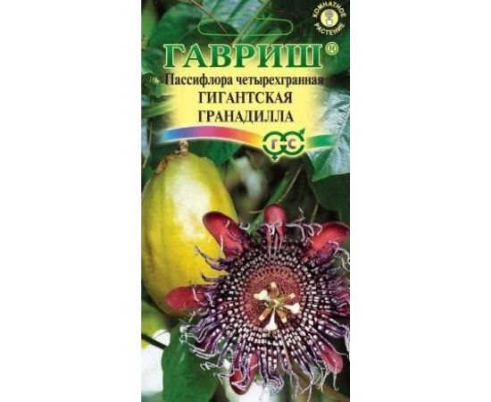 Пассифлора ГАВРИШ Гигантская гранадилла (четырехгранная) 3 шт. 1026997542 