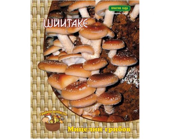 Мицелий Поиск Шиитаке 12 шт. 4601887286738 