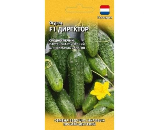 Семена ГАВРИШ Огурец Директор 5 шт., Голландия 1999948923 