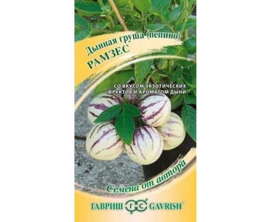 Семена ГАВРИШ Пепино Рамзес 5 шт авторские 000000846 