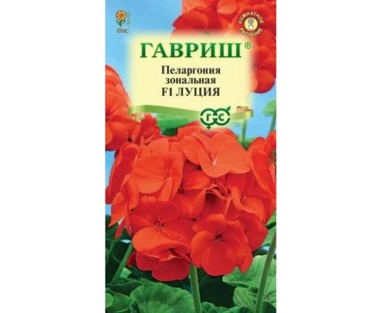 Пеларгония ГАВРИШ Луция зональная 4 шт. 10003722 