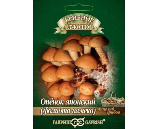 Семена ГАВРИШ Опенок японский Фолиото намеко на древесной палочке, 12 шт. 10007218 