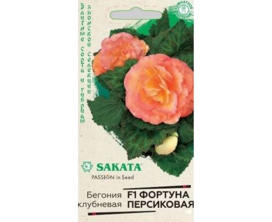 Бегония ГАВРИШ Фортуна Персиковая клубника, пионовидные гранулы 4 шт. пробирка Саката серия Эксклюзив 1999945881 