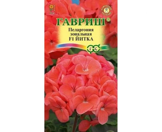 Пеларгония ГАВРИШ Йитка зональная 4 шт. 4602054 