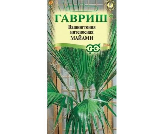 Вашингтония нитеносная ГАВРИШ Майами 3 шт. 10005835 