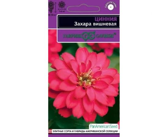 Цинния ГАВРИШ Захара вишневая 5 шт, серия Эксклюзив 1071858317 