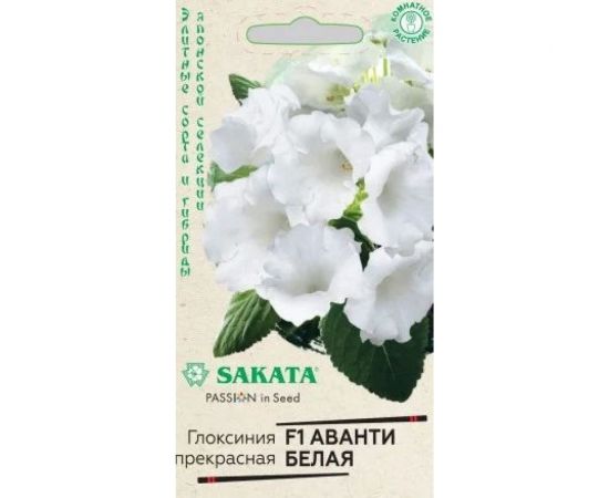 Семена ГАВРИШ Глоксиния Аванти белая, гранулированные, 4 шт., пробирка, Саката, серия Эксклюзив 1071857048 