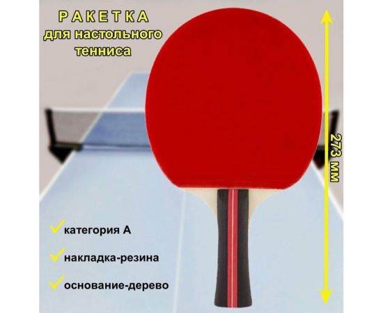 Ракетка для игры в пинг-понг Победитъ PPR-A 323139 – изображение 2