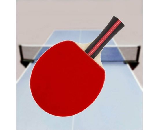 Ракетка для игры в пинг-понг Победитъ PPR-A 323139 – изображение 3