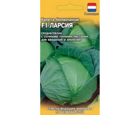 Семена ГАВРИШ Капуста белокочанная Ларсия 10 шт для квашения Голландия 1910647 