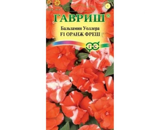 Бальзамин ГАВРИШ Оранж фреш Уоллера махр 4 шт. 1071856808 