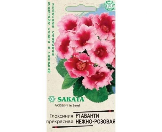 Семена ГАВРИШ Глоксиния Аванти нежно-розовая, гранулированные, 5 шт., пробирка, Саката, серия Эксклюзив 10008302 