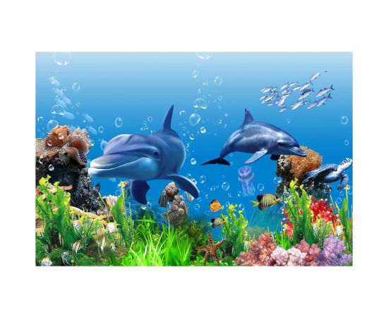 Фотообои DIVINO Любопытные дельфины 400x270 см Z-128 