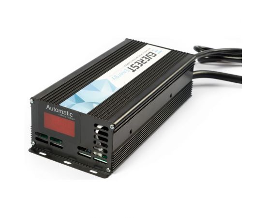 Зарядное устройство EVEREST Energy серии для AGM и GEL EVE-24-20 – изображение 2