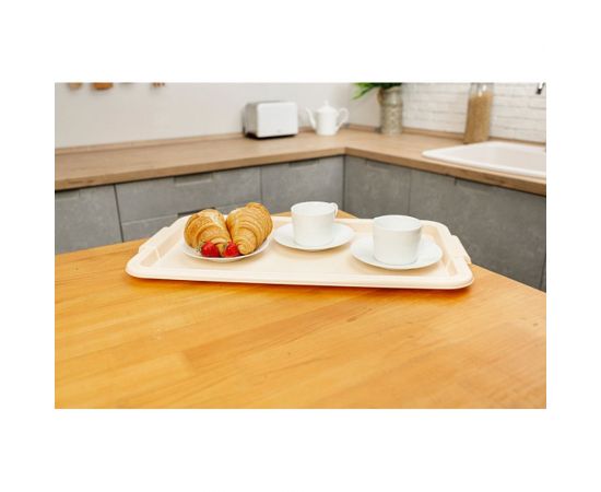 Поднос Полимербыт 431200000 – изображение 3