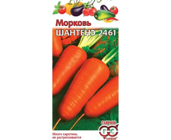 Морковь ГАВРИШ Шантенэ 2461 2.0 г 166 