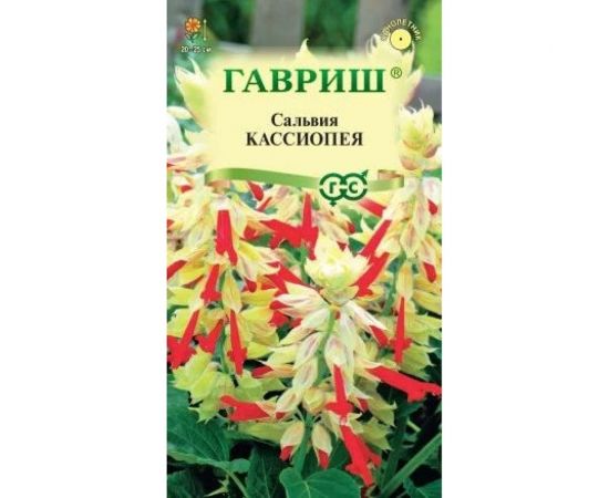 Сальвия ГАВРИШ Кассиопея, карликовая 4 шт. 1071858221 
