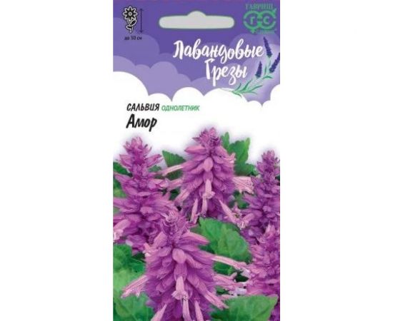 Семена ГАВРИШ Сальвия Лавандовая Амор, 4 шт., серия Лавандовые грёзы 1071858177 