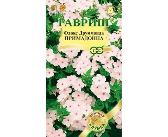 Флокс ГАВРИШ Примадонна, Друммонда, 8 шт, серия Элитная клумба 10000015 