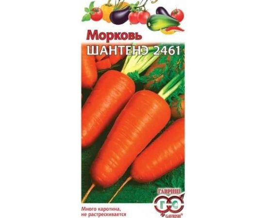 Морковь ГАВРИШ Шантенэ 2461 2.0 г 166 – изображение 2