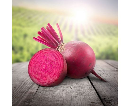 Свекла ГАВРИШ Ред Клауд F1 1.0 г Голландия 10009216 – изображение 3