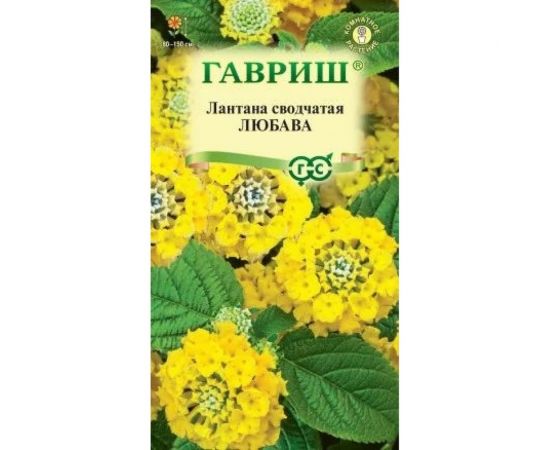 Лантана сводчатая ГАВРИШ Любава 0.1 г 003329 