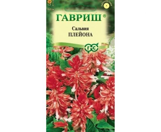 Сальвия ГАВРИШ Плейона карликовая 4 шт 1071858186 