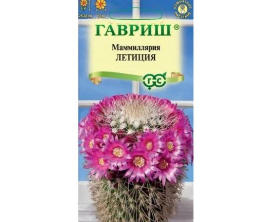 Маммиллярия ГАВРИШ Бакеберга (Кактус) Летиция 2 шт. 1071854722 