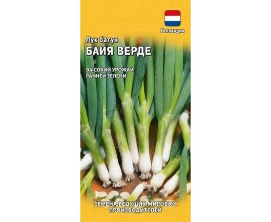Семена ГАВРИШ Лук батун Байя Верде 0.2 г, Голландия 1999942456 