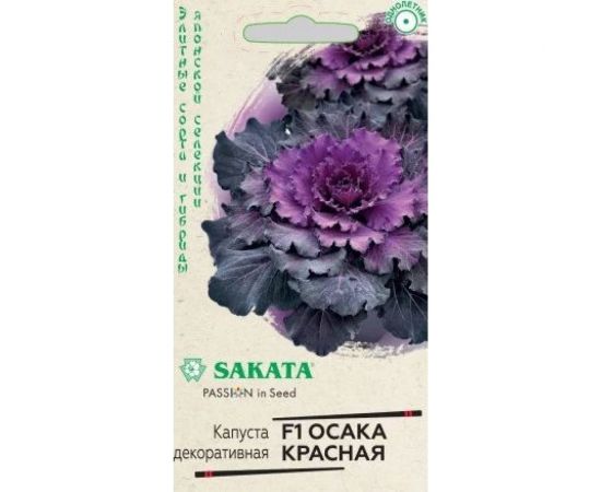 Капуста декоративная ГАВРИШ Осака красная 6 шт. Саката Эксклюзив 1071858738 