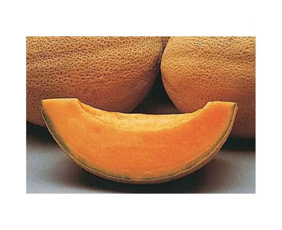 Семена Гавриш Дыня Русский романс 1 г 1911825 – изображение 3