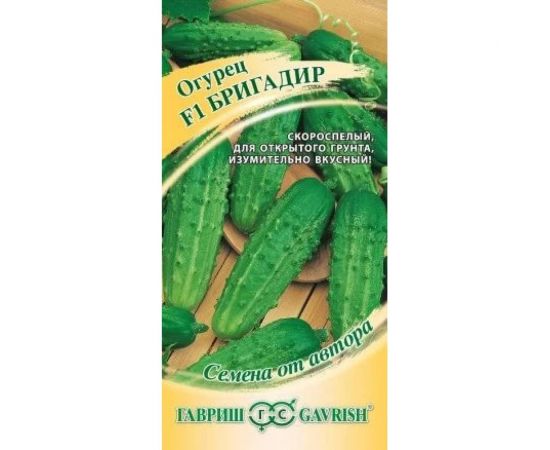 Огурец ГАВРИШ Бригадир 10 шт. 1912237961 