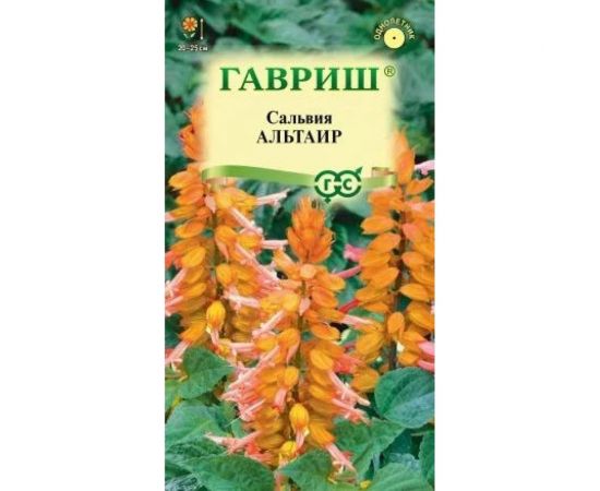 Семена ГАВРИШ Сальвия Альтаир, карликовая 4 шт 1071858220 