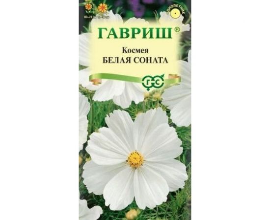 Космея ГАВРИШ Белая соната 0,3 г 4224 