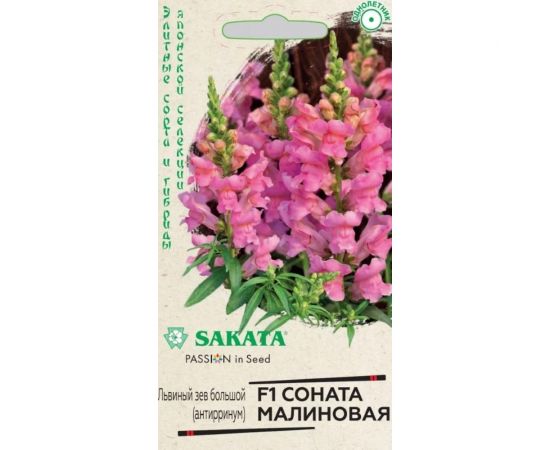Семена ГАВРИШ Антирринум Львиный зев Соната малиновая 7 шт Саката серия Элитная клумба 1071856921 