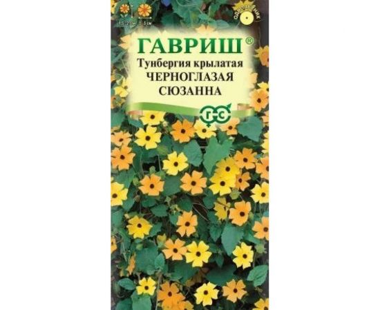 Семена ГАВРИШ Тунбергия крылатая Черноглазая Сюзанна 0.3 г 00001653 